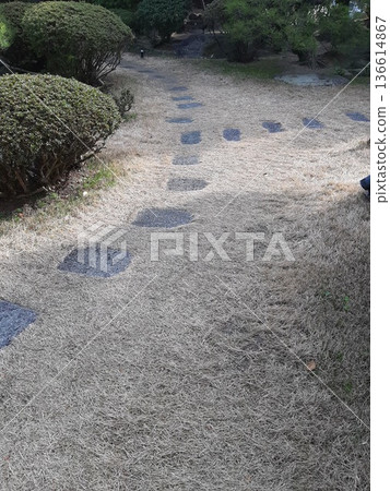 Garden path: Stone path 136614867