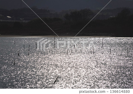 The water surface of the tidal flats reflecting the setting sun The water surface of the tidal flats reflecting the setting sun 136614880