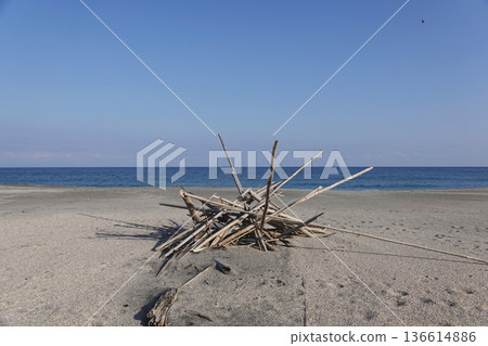 Driftwood collected on the sandy beach at the water's edge Driftwood collected on the sandy beach at the water's edge 136614886