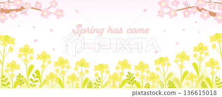 A background of cherry blossoms and rapeseed flowers to celebrate spring school entrance and new life, a frame with copy space and fluttering petals A background of cherry blossoms and rapeseed flowers to celebrate spring school entrance and new life, a frame with copy space and fluttering petals 136615018