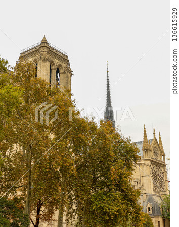 Notre Dame Cathedral exterior showcasing the gothic architecture of a bell tower, spire, and rose window among autumn trees 136615929