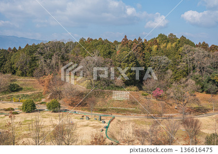 從奈良縣飛鳥村木虎墓展望台眺望四神廣場 從奈良縣飛鳥村木虎墓展望台眺望四神廣場 136616475