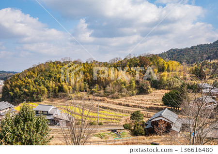 從奈良縣飛鳥村的木虎墓展望台眺望 136616480