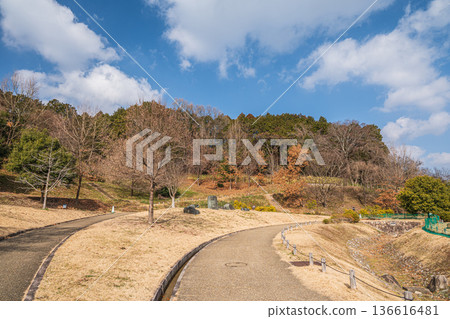 奈良縣飛鳥村四神廣場木虎墓 136616481