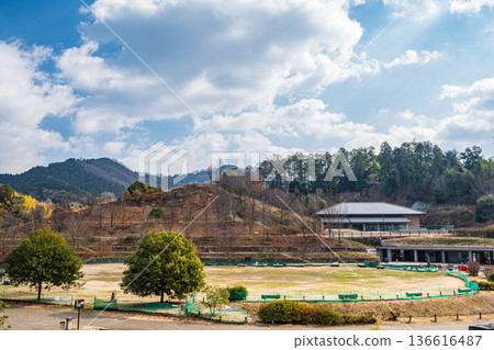 奈良縣飛鳥村四神廣場木虎墓 136616487
