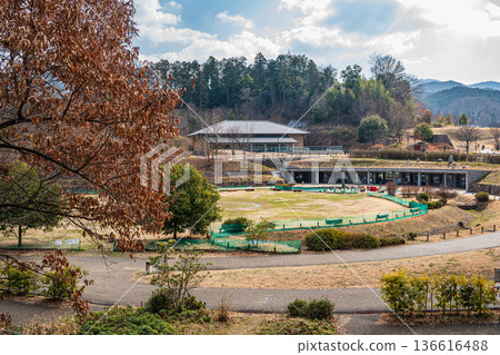 奈良縣飛鳥村四神廣場木虎墓 136616488