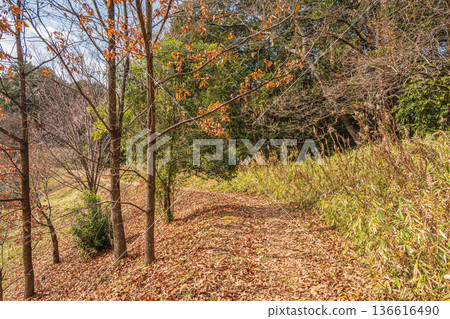 奈良縣飛鳥村,木虎墓四神廣場周圍的里山 奈良縣飛鳥村,木虎墓四神廣場周圍的里山 136616490
