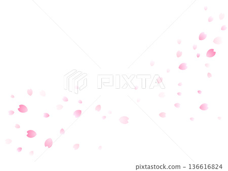 櫻花在春風中搖曳的背景畫框 136616824