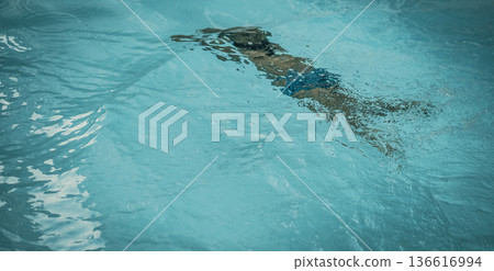 Abstract photo lifestyle, nature background. Unrecognizable person body deep under water, look at surface. Mystery mood. Concept of weightless, uncertain future, drown in obscurity, childhood issues 136616994