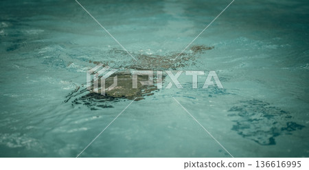 Abstract photo lifestyle, nature background. Unrecognizable person body deep under water, look at surface. Mystery mood. Concept of weightless, uncertain future, drown in obscurity, childhood issues 136616995