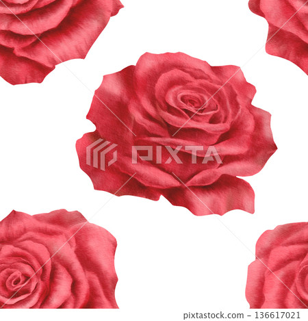 Seamless pattern of red roses in realistic style in watercolor technique as a symbol of love,passion,desire.Hand drawn illustration for decoration of cards for Valentines Day,March 8,Mothers Day 136617021