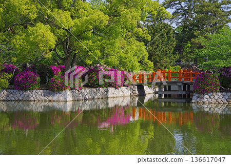 休華公園的杜鵑花（三重縣桑名市） 136617047