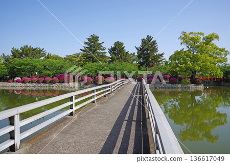 休華公園的杜鵑花（三重縣桑名市） 136617049