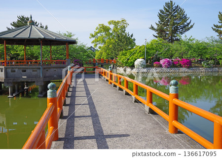 休華公園的杜鵑花(三重縣桑名市) 休華公園的杜鵑花(三重縣桑名市) 136617095