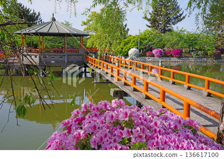 休華公園的杜鵑花(三重縣桑名市) 休華公園的杜鵑花(三重縣桑名市) 136617100