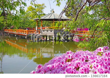 休華公園的杜鵑花(三重縣桑名市) 休華公園的杜鵑花(三重縣桑名市) 136617164