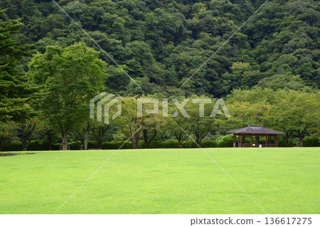 Kanagawa Prefectural Aikawa Park, surrounded by nature 136617275