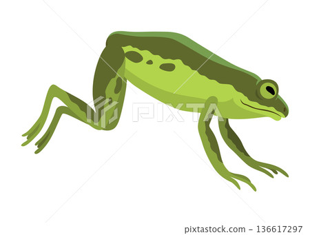 Frog jumping animation icon. Sequences or footage for motion design. Cartoon toad jumping, animal movement concept. Frog leap sequence, vector illustration Frog jumping animation icon. Sequences or footage for motion design. Cartoon toad jumping, animal movement concept. Frog leap sequence, vector illustration 136617297