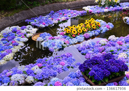 Colorful hydrangea pond Colorful hydrangea pond 136617936