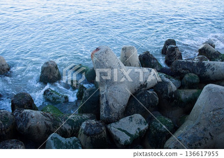 海岸塊 136617955