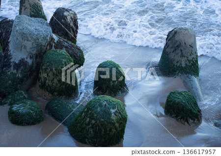 海岸塊 136617957