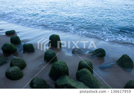 海岸塊 136617959