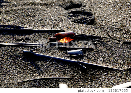 A piece of driftwood on the shore, a small brown bottle shining in the setting sun 136617965