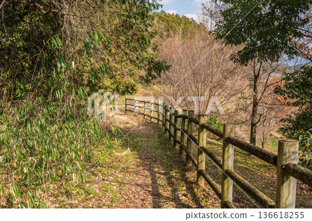 Satoyama around the square of the four gods of the Kitora Tomb, Asuka Village, Nara Prefecture Satoyama around the square of the four gods of the Kitora Tomb, Asuka Village, Nara Prefecture 136618255
