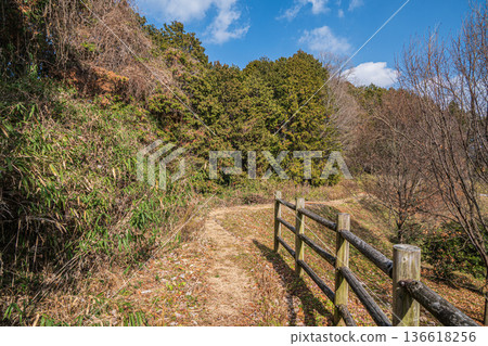 Satoyama around the square of the four gods of the Kitora Tomb, Asuka Village, Nara Prefecture 136618256
