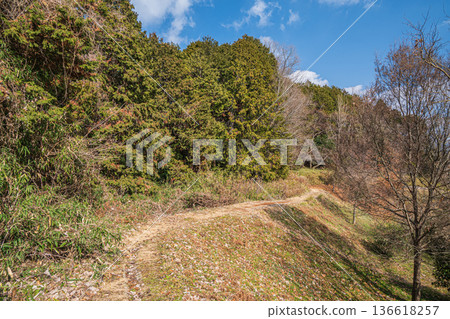 Satoyama around the square of the four gods of the Kitora Tomb, Asuka Village, Nara Prefecture 136618257