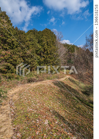 奈良縣飛鳥村，木虎墓四神廣場周圍的里山 136618258