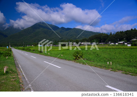 夏季農村風光 136618341