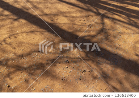 orange stones on the jogging path in the park in the spring season in sunny weather, the shadows of deciduous trees without foliage on the jogging path in the city park spring season 136618400