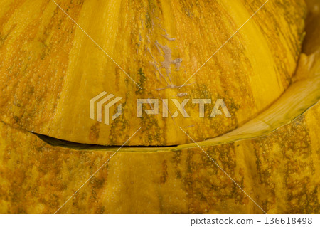 orange pumpkin cut in half, ripe large pumpkin cut in two halves 136618498