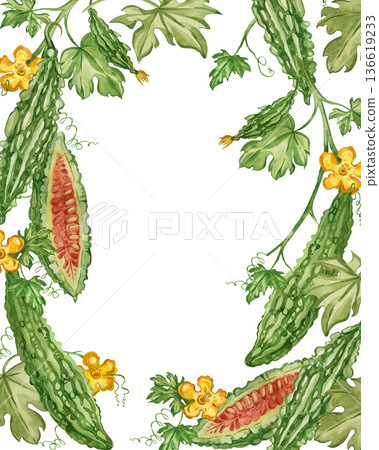 A watercolor frame featuring a bitter melon vine, leaves, and flowers. All elements are hand-painted in watercolor. Momordica, an Indian cucumber, is featured in a healthy eating design. 136619233