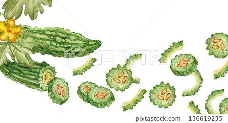 A watercolor composition featuring bitter melon, momordica, bitter cucumber slices, and a flower. All hand-painted in watercolor. Bitter melon for a healthy recipe, menu, or packaging. 136619235