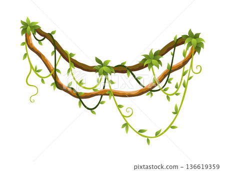Liana branch. Twisted wild jungle vine plants. Woody natural tropical rainforest, exotic botany element. Vector design element 136619359