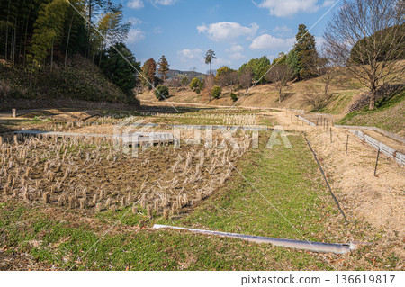 奈良縣飛鳥村，國立飛鳥歷史公園內的木虎稻田、木虎墓地 136619817