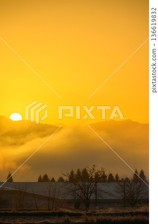 日出與雲海 [安曇野市] 136619832