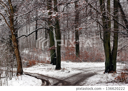 snow drifts in winter 136620222