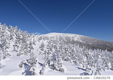 Mount Nishiazuma, one of Japan's 100 famous mountains, seen from the middle of the west peak Mount Nishiazuma, one of Japan's 100 famous mountains, seen from the middle of the west peak 136620270