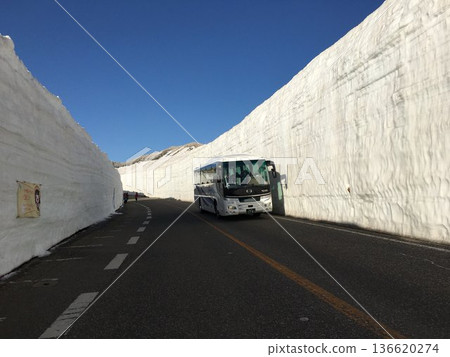 立山(途經雪谷的巴士) 立山(途經雪谷的巴士) 136620274