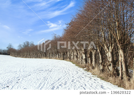 Winter in Denmark 136620322