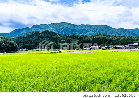 夏季從北面眺望築路山 1，岡山縣真庭市 136620595