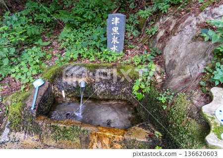 岡山縣真庭市,築羅山夏季,林間小路旁的築羅泉水 岡山縣真庭市,築羅山夏季,林間小路旁的築羅泉水 136620603