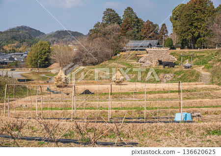 飛鳥歷史國立公園、木虎墓地、五穀田，奈良縣 136620625