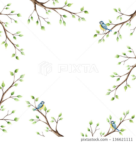Spring branch with leaves and blue tit perche frame. Watercolor titmouse logo, copy space, easter hand drawn illustration isolated on background, transparent png. Botanical and wedding clip art. For Spring branch with leaves and blue tit perche frame. Watercolor titmouse logo, copy space, easter hand drawn illustration isolated on background, transparent png. Botanical and wedding clip art. For 136621111
