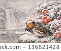 A pair of ducks and camellias covered in snow 136621428