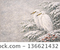 Egret and bamboo in the snow 136621432