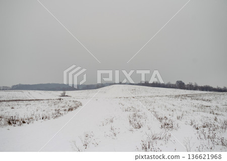 Peaceful winter nature scene with snow covered meadow. 136621968